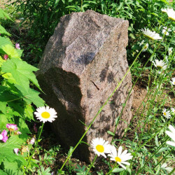 Pietra da giardino h50cm Ø35cm arenaria (TK35R1)