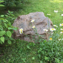 Pietra da giardino Ø76cm arenaria (TK70R2)