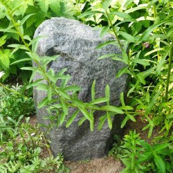 Taidekivi Garden Rock h50cm Ø35cm gray granite (TK35G1)