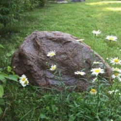 Pietra da giardino Ø80cm arenaria (TK70R3)