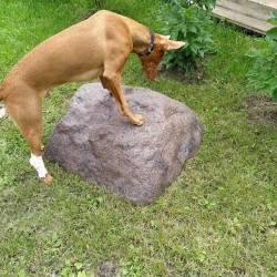 Garden Stone Ø77cm sandstone (TK70R4)