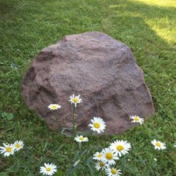 Pietra da giardino Ø85cm arenaria (TK90R1)